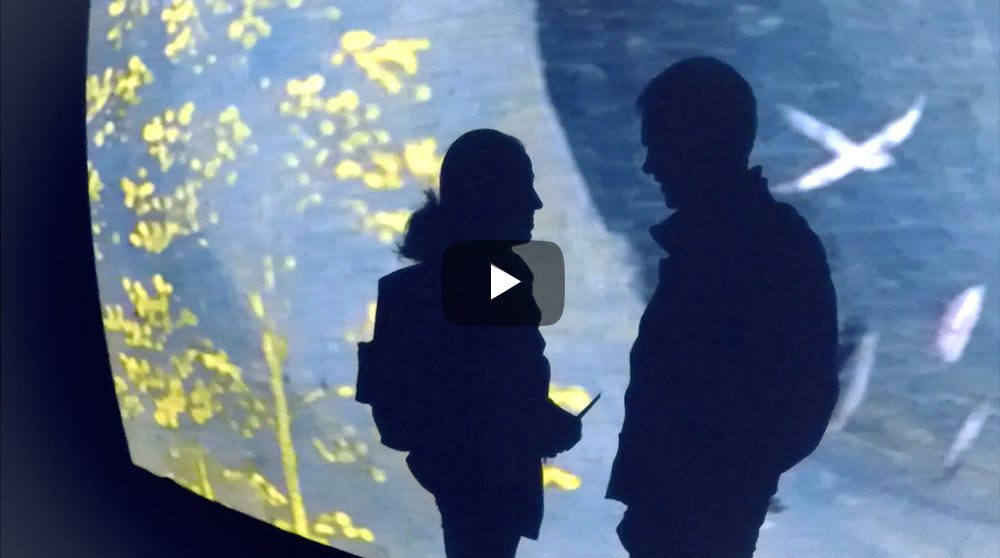 Призрак шпица