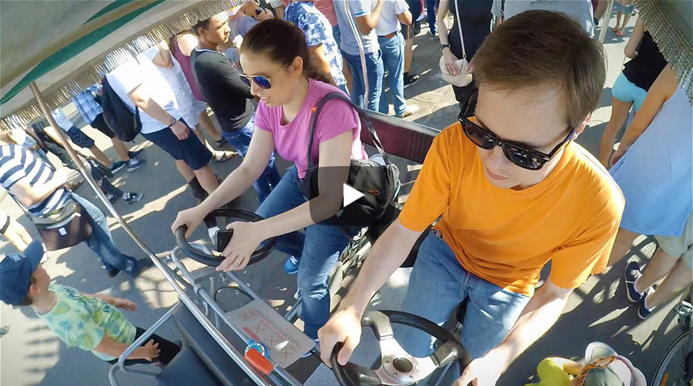 Тигры в Музеоне