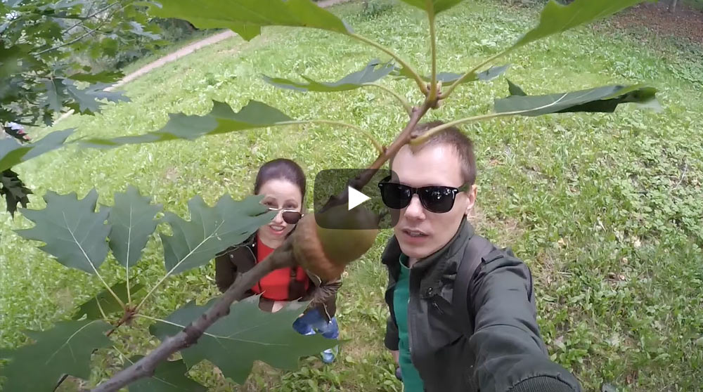 Это похоже на жареных тараканов