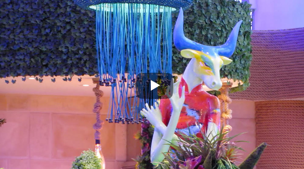 Письмо в рюкзаке