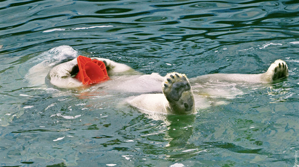 Погружение